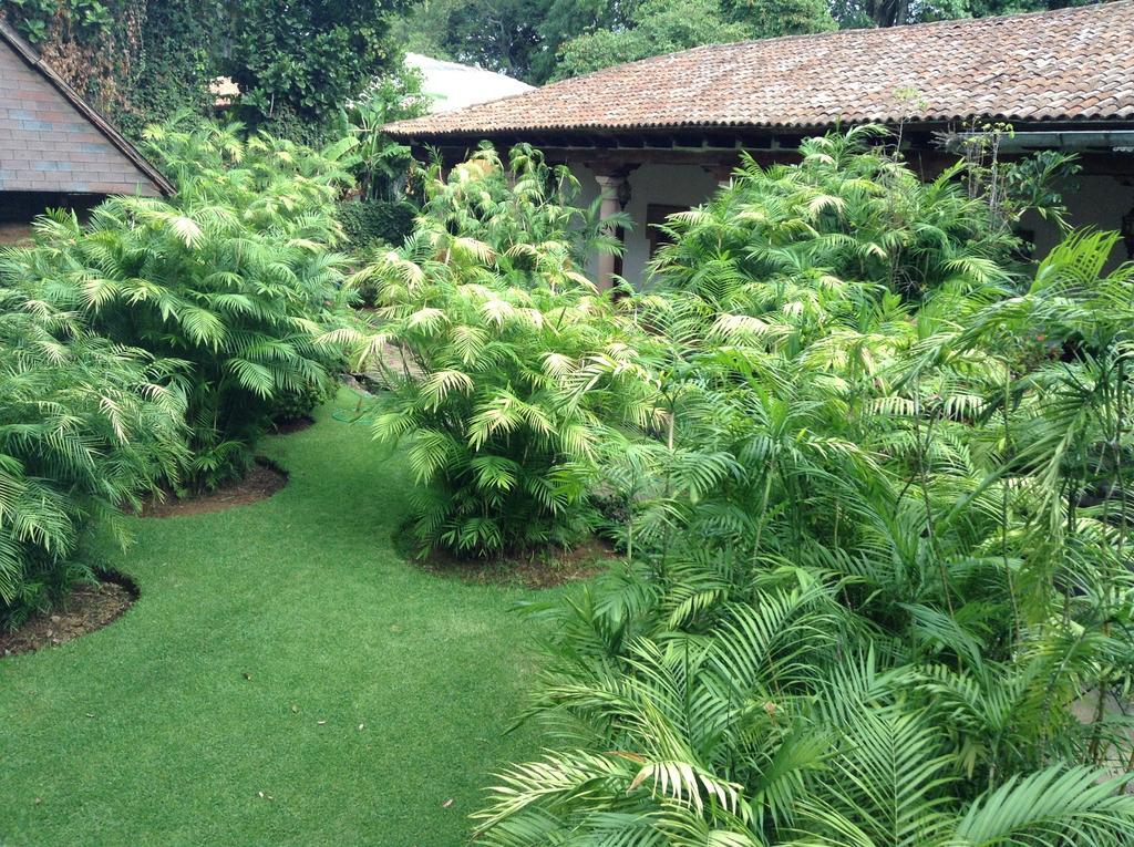 Hôtel Hacienda San Pedro à Uruapan  Extérieur photo